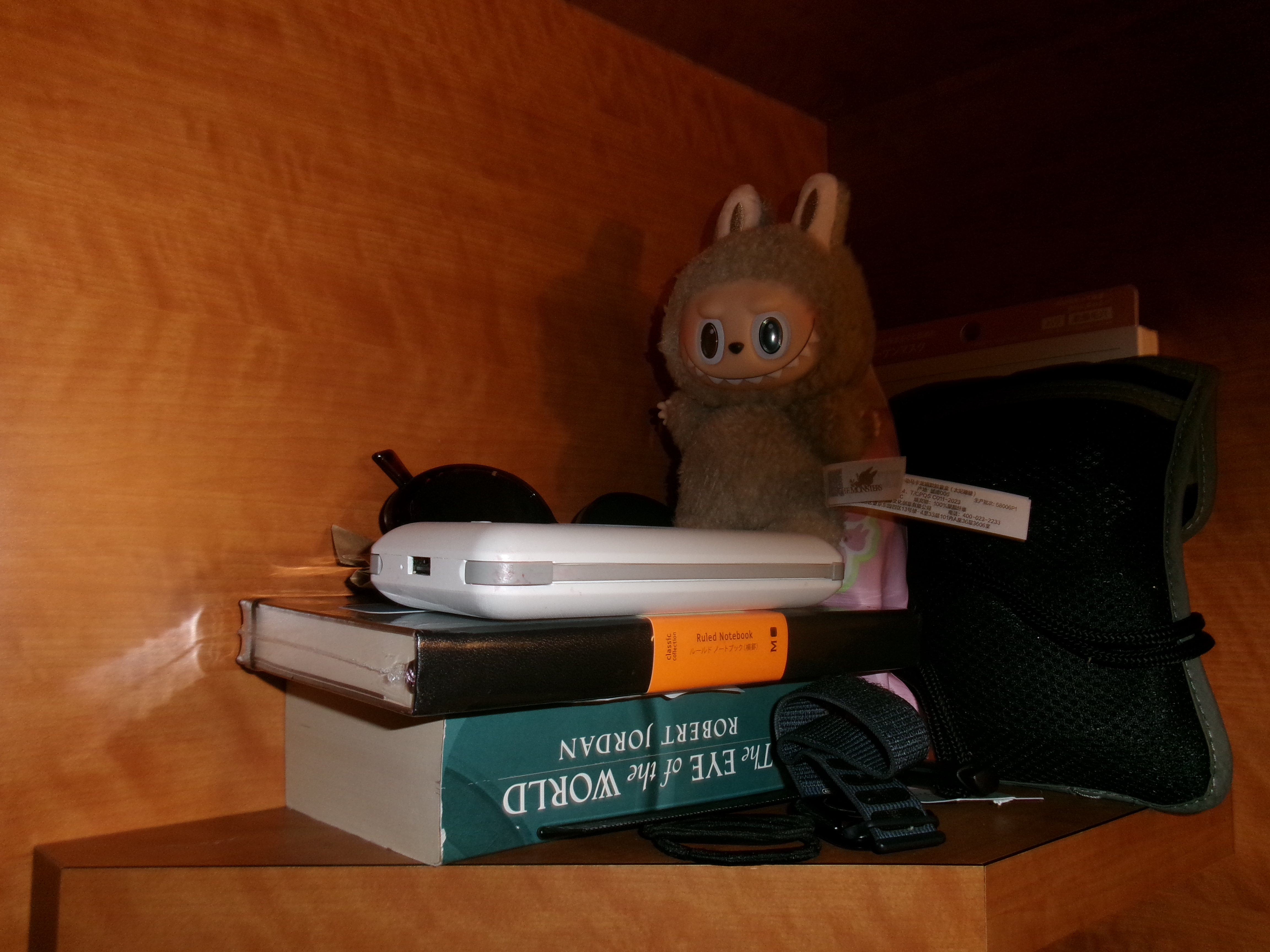 This was the set up in the hostel in Tokyo, Japan. Bought the Labubu at Pop-Mart in Shinjuku. 